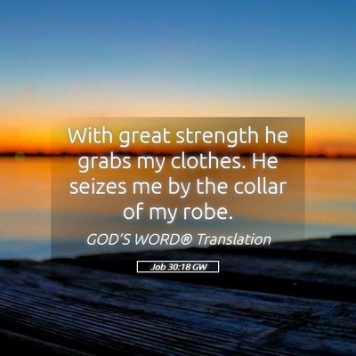 Picture 05 - Job 30:18 GW - With great strength he grabs my clothes. He - Bible Verse Picture