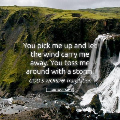 Picture 05 - Job 30:22 GW - You pick me up and let the wind carry me away. - Bible Verse Picture