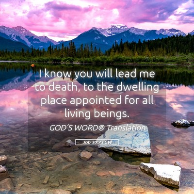 Picture 05 - Job 30:23 GW - I know you will lead me to death, to the dwelling - Bible Verse Picture