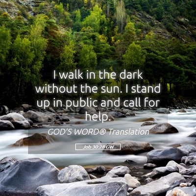 Picture 05 - Job 30:28 GW - I walk in the dark without the sun. I stand up in - Bible Verse Picture