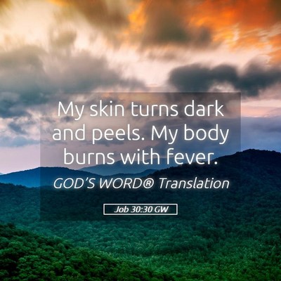Picture 05 - Job 30:30 GW - My skin turns dark and peels. My body burns with - Bible Verse Picture