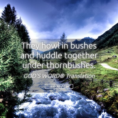Picture 05 - Job 30:7 GW - They howl in bushes and huddle together under - Bible Verse Picture