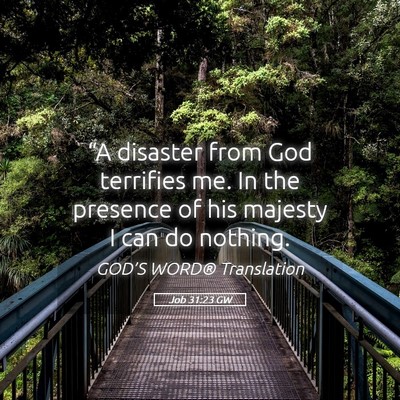 Picture 05 - Job 31:23 GW - “A disaster from God terrifies me. In the - Bible Verse Picture