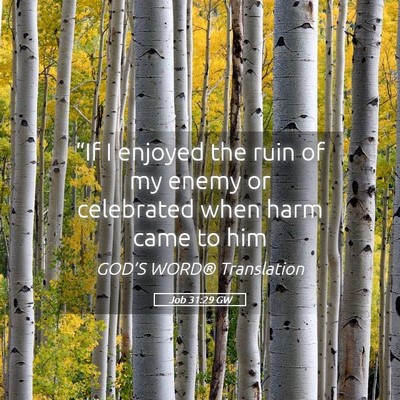 Picture 05 - Job 31:29 GW - “If I enjoyed the ruin of my enemy or - Bible Verse Picture