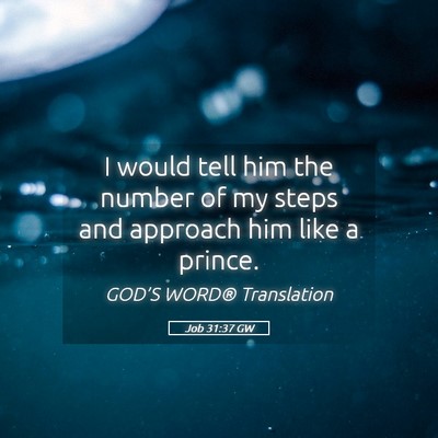 Picture 05 - Job 31:37 GW - I would tell him the number of my steps and - Bible Verse Picture