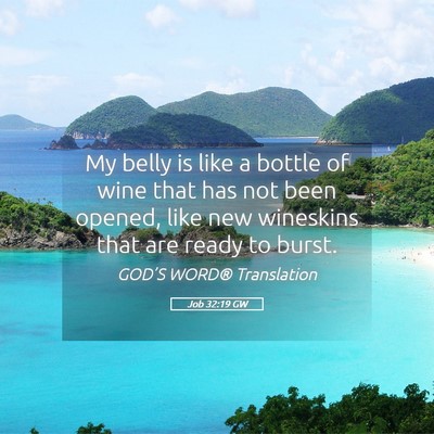 Picture 05 - Job 32:19 GW - My belly is like a bottle of wine that has not - Bible Verse Picture