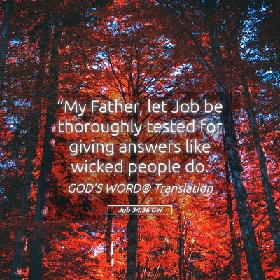 Picture 05 - Job 34:36 GW - “My Father, let Job be thoroughly tested for - Bible Verse Picture