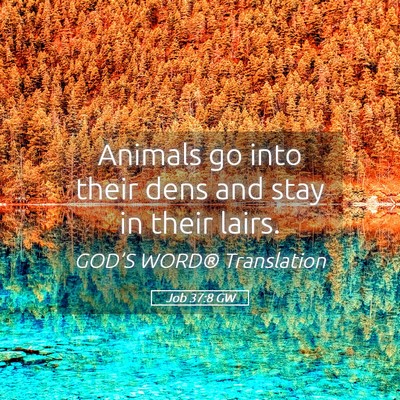 Picture 05 - Job 37:8 GW - Animals go into their dens and stay in their - Bible Verse Picture