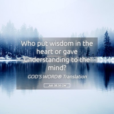 Picture 05 - Job 38:36 GW - Who put wisdom in the heart or gave understanding - Bible Verse Picture