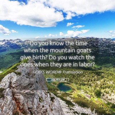 Picture 05 - Job 39:1 GW - “Do you know the time when the mountain goats - Bible Verse Picture