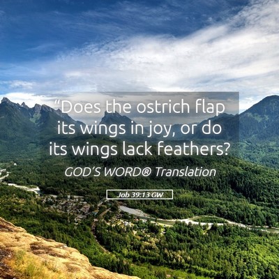 Picture 05 - Job 39:13 GW - “Does the ostrich flap its wings in joy, or do - Bible Verse Picture