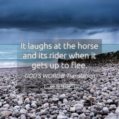 Picture 05 - Job 39:18 GW - It laughs at the horse and its rider when it gets - Bible Verse Picture