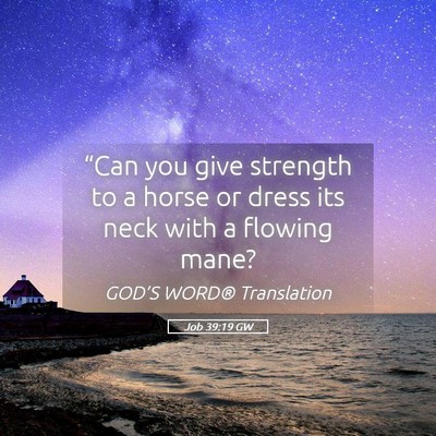 Picture 05 - Job 39:19 GW - “Can you give strength to a horse or dress its - Bible Verse Picture