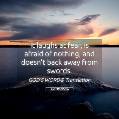 Picture 05 - Job 39:22 GW - It laughs at fear, is afraid of nothing, and - Bible Verse Picture