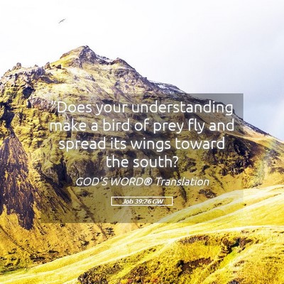 Picture 05 - Job 39:26 GW - “Does your understanding make a bird of prey - Bible Verse Picture