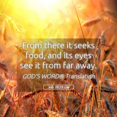 Picture 05 - Job 39:29 GW - From there it seeks food, and its eyes see it - Bible Verse Picture