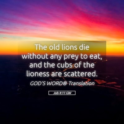 Picture 05 - Job 4:11 GW - The old lions die without any prey to eat, and - Bible Verse Picture