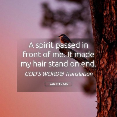 Picture 05 - Job 4:15 GW - A spirit passed in front of me. It made my hair - Bible Verse Picture