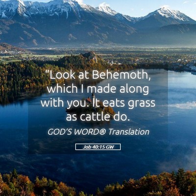 Picture 05 - Job 40:15 GW - “Look at Behemoth, which I made along with you. - Bible Verse Picture
