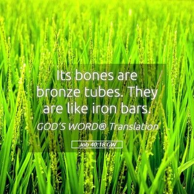 Picture 05 - Job 40:18 GW - Its bones are bronze tubes. They are like iron - Bible Verse Picture