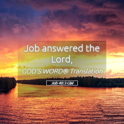 Picture 05 - Job 40:3 GW - Job answered the - Bible Verse Picture