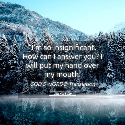 Picture 05 - Job 40:4 GW - “I’m so insignificant. How can I answer you? - Bible Verse Picture