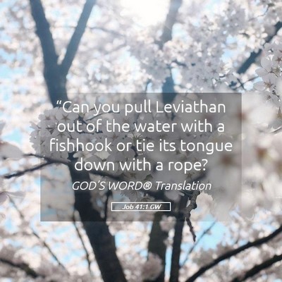 Picture 05 - Job 41:1 GW - “Can you pull Leviathan out of the water with a - Bible Verse Picture