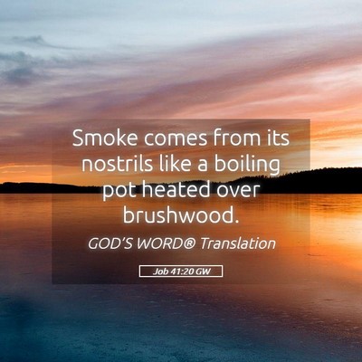 Picture 05 - Job 41:20 GW - Smoke comes from its nostrils like a boiling pot - Bible Verse Picture