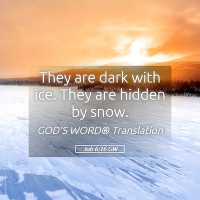 Picture 05 - Job 6:16 GW - They are dark with ice. They are hidden by - Bible Verse Picture