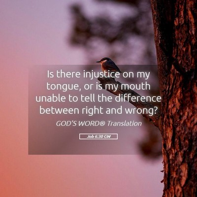 Picture 05 - Job 6:30 GW - Is there injustice on my tongue, or is my mouth - Bible Verse Picture