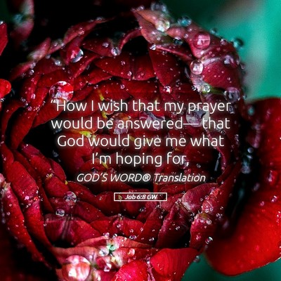 Picture 05 - Job 6:8 GW - “How I wish that my prayer would be answered— - Bible Verse Picture