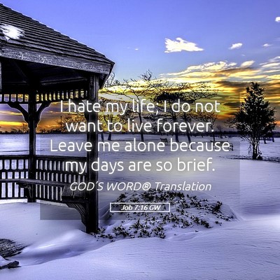 Picture 05 - Job 7:16 GW - I hate my life; I do not want to live forever. - Bible Verse Picture