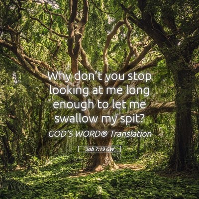 Picture 05 - Job 7:19 GW - Why don’t you stop looking at me long enough to - Bible Verse Picture