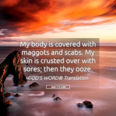Picture 05 - Job 7:5 GW - My body is covered with maggots and scabs. My - Bible Verse Picture