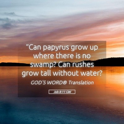 Picture 05 - Job 8:11 GW - “Can papyrus grow up where there is no swamp? - Bible Verse Picture