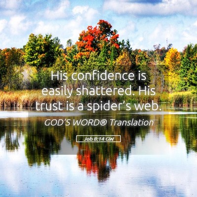 Picture 05 - Job 8:14 GW - His confidence is easily shattered. His trust is - Bible Verse Picture