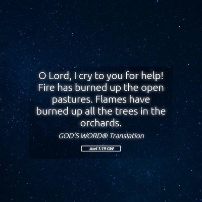 Picture 05 - Joel 1:19 GW - O Lord, I cry to you for help! Fire has burned up - Bible Verse Picture