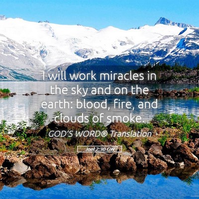 Picture 05 - Joel 2:30 GW - I will work miracles in the sky and on the earth: - Bible Verse Picture