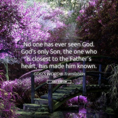 Picture 05 - John 1:18 GW - No one has ever seen God. God’s only Son, the - Bible Verse Picture