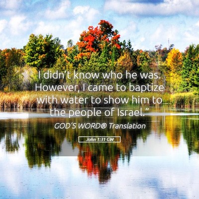 Picture 05 - John 1:31 GW - I didn’t know who he was. However, I came to - Bible Verse Picture