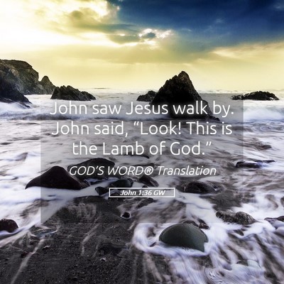 Picture 05 - John 1:36 GW - John saw Jesus walk by. John said, “Look! This - Bible Verse Picture
