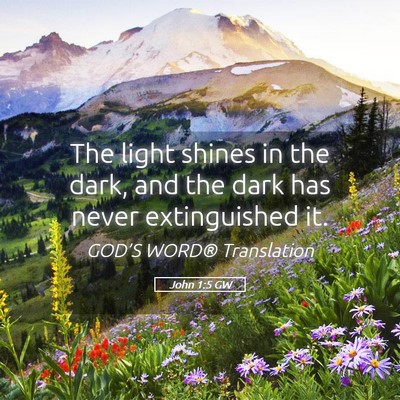 Picture 05 - John 1:5 GW - The light shines in the dark, and the dark has - Bible Verse Picture