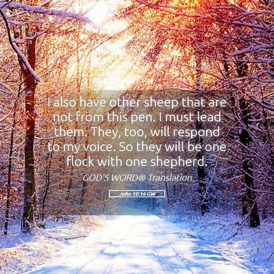Picture 05 - John 10:16 GW - I also have other sheep that are not from this - Bible Verse Picture