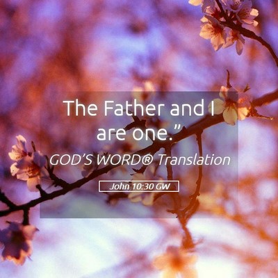 Picture 05 - John 10:30 GW - The Father and I are - Bible Verse Picture