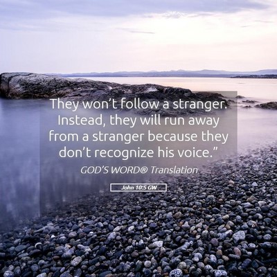 Picture 05 - John 10:5 GW - They won’t follow a stranger. Instead, they - Bible Verse Picture