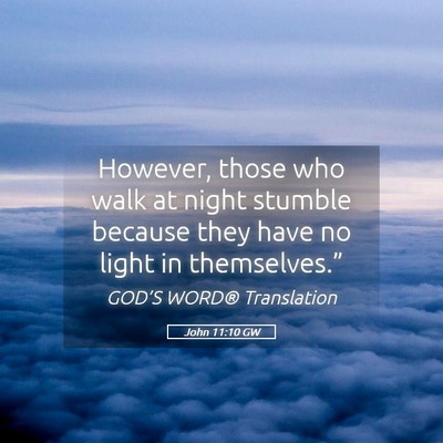 Picture 05 - John 11:10 GW - However, those who walk at night stumble because - Bible Verse Picture