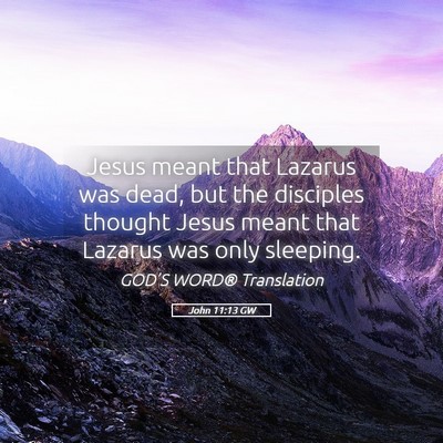 Picture 05 - John 11:13 GW - Jesus meant that Lazarus was dead, but the - Bible Verse Picture