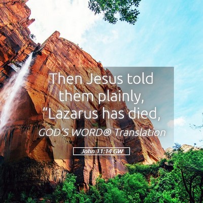 Picture 05 - John 11:14 GW - Then Jesus told them plainly, “Lazarus has - Bible Verse Picture