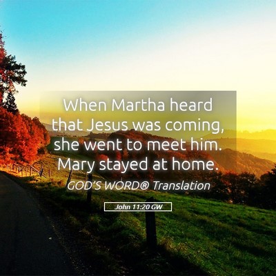 Picture 05 - John 11:20 GW - When Martha heard that Jesus was coming, she went - Bible Verse Picture