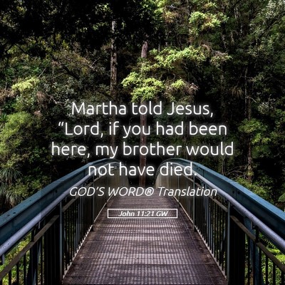 Picture 05 - John 11:21 GW - Martha told Jesus, “Lord, if you had been here, - Bible Verse Picture